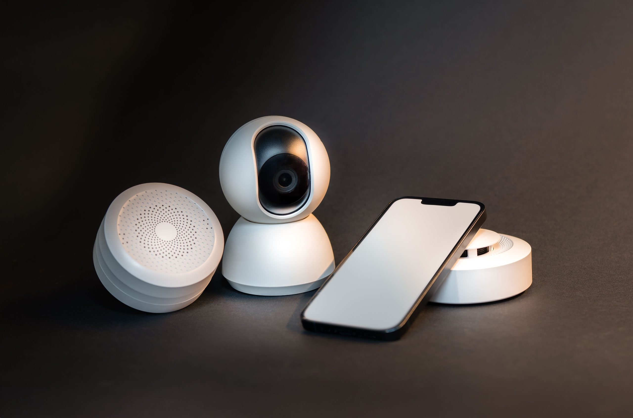 home security while traveling